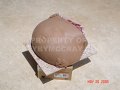 DSC00560