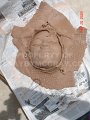 DSC00570